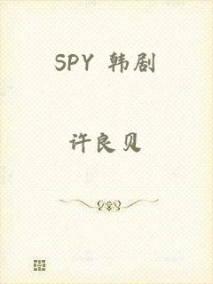 SPY 韩剧